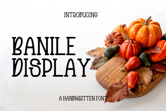 Banile: A Cozy Display Font for Small Business Branding
