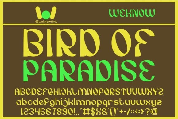 Bird of Paradise Font for Editorial Design and Branding