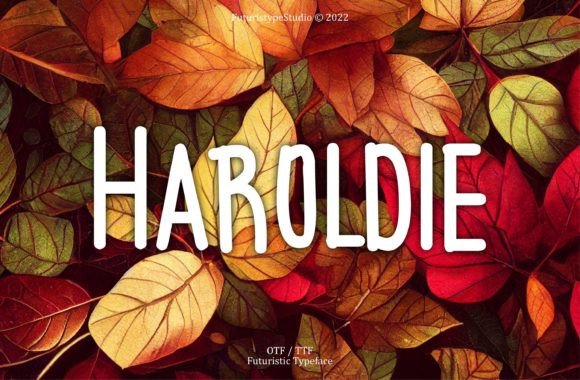 Haroldie: The Display Font That Elevates Campaign Impact